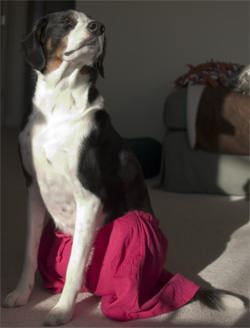 I don't need any of them