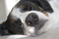 this is what I look like when I am thinking