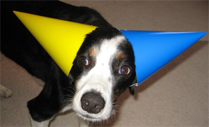 is this enough party for you, LB?