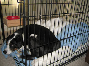 see how I'm suffering?