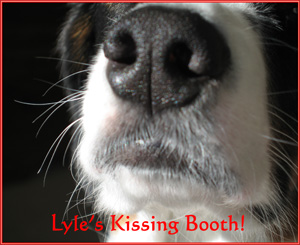 then send me a dollar