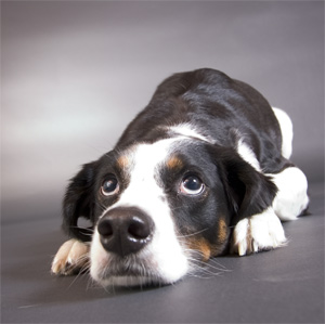 could I possibly be any cuter?