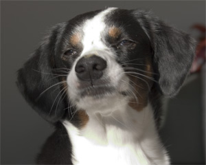 I'm irresistable.  Kiss me.