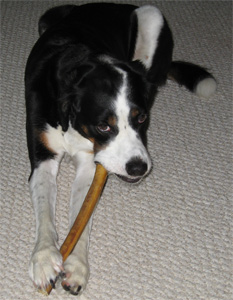 yum yum mmmm num num yum yum