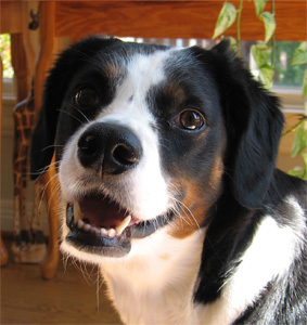 Haha!  I'm a supergenius!