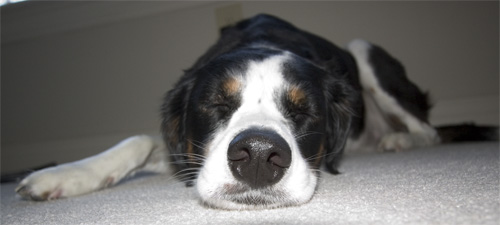 it's my thotful spot